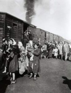 auschwitz-trenes-ganaderia-guerra-judios